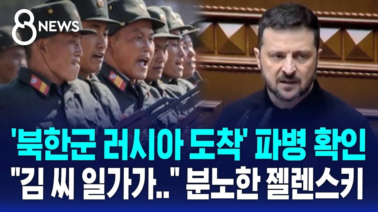 국제 사회의 반응과 우려