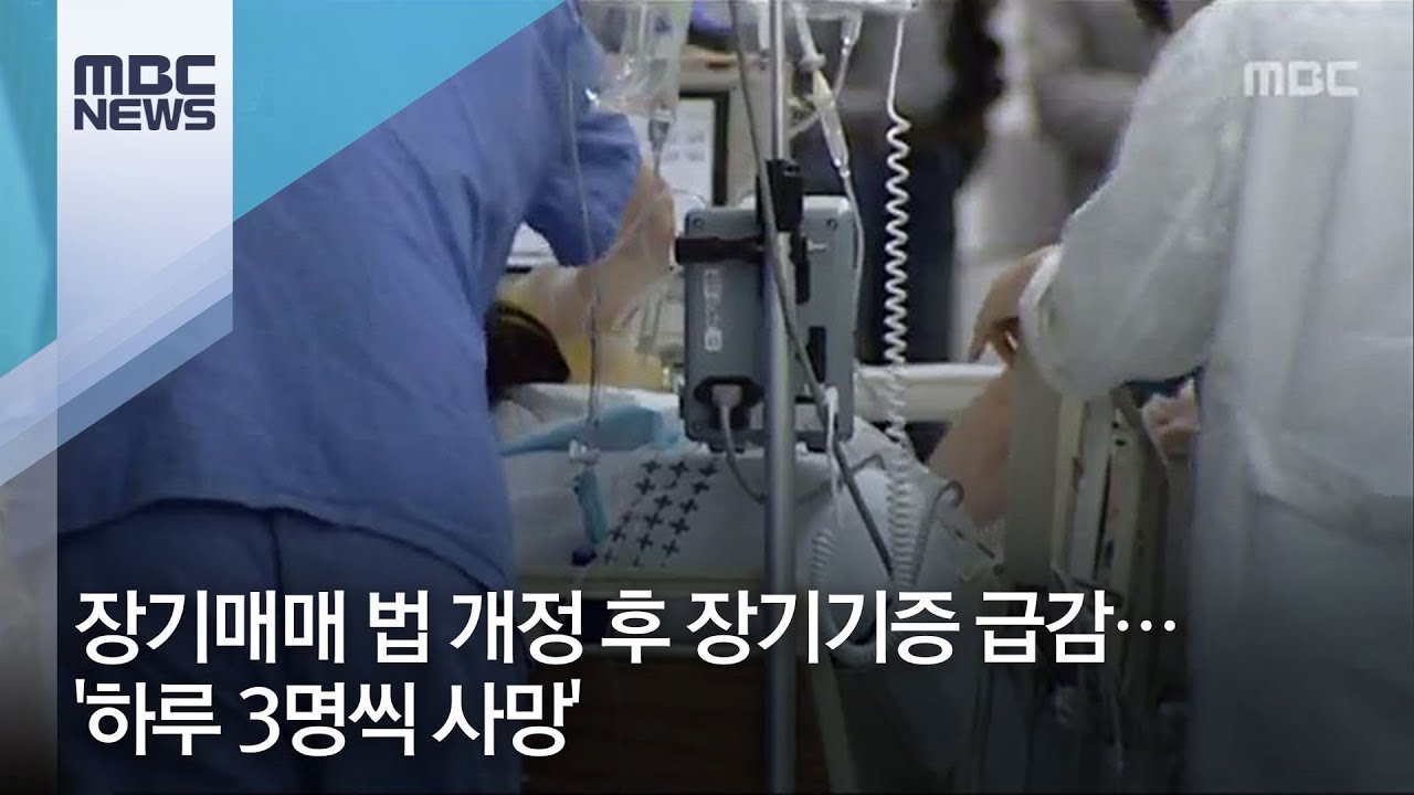 생명의 소중함과 의료 체계의 재조명