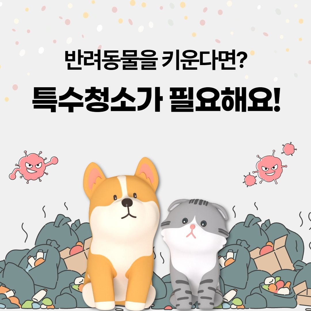 사랑스러운 반려묘와의 행복한 기억