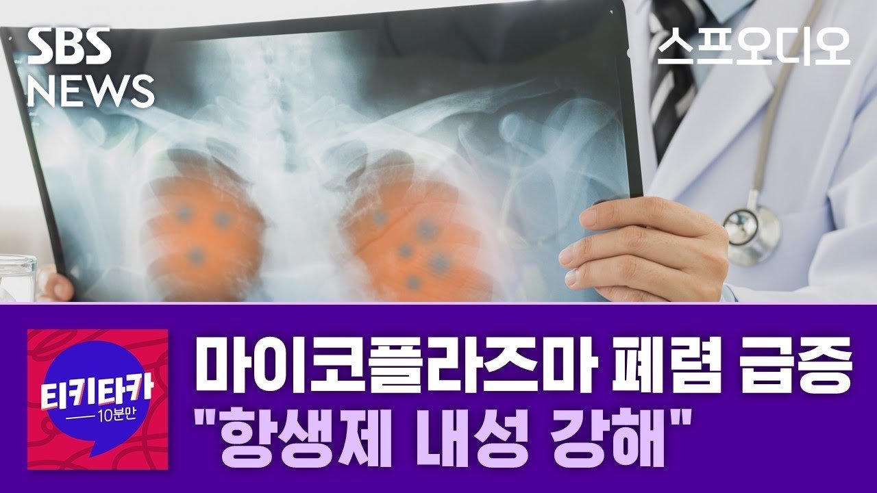 마이코플라즈마 폐렴의 현황과 위험