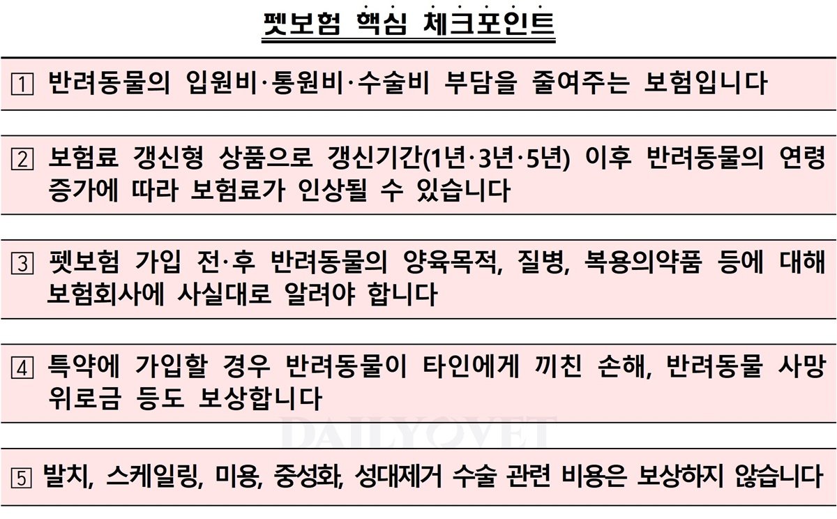 펫보험, 급증하는 수요의 이유