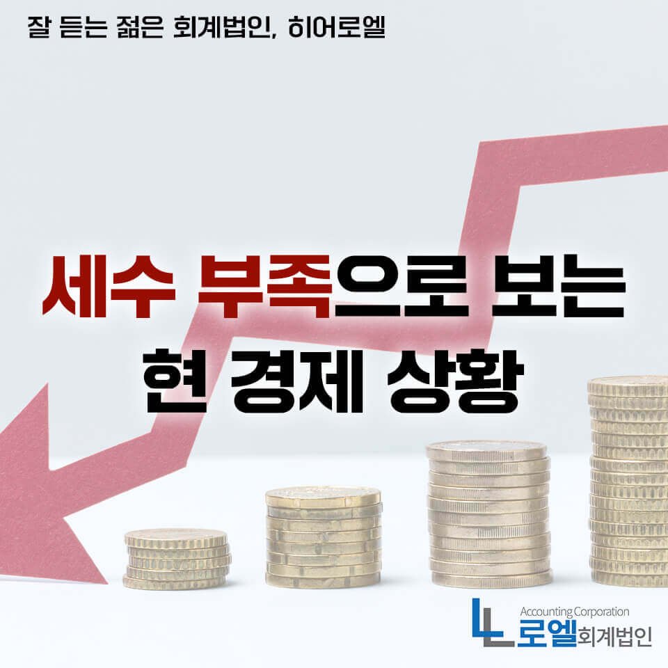 정부의 입장과 비판