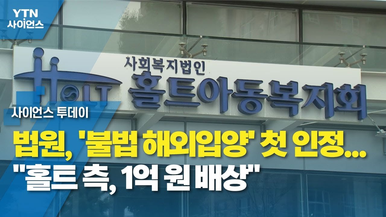 불법 입양 사건의 전말 이해하기