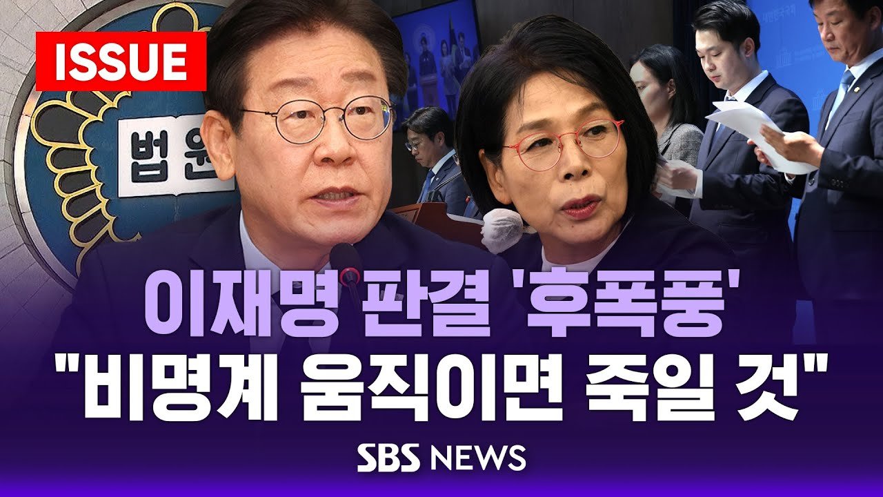 법조계의 시각과 분석