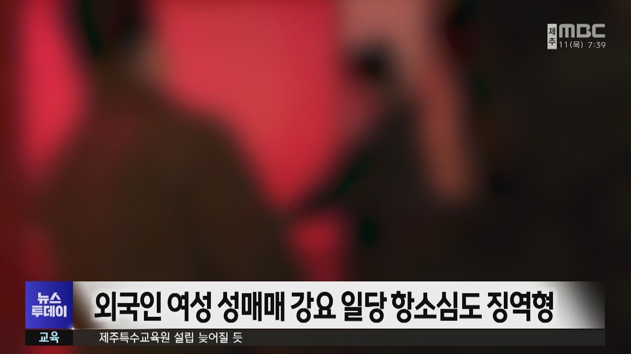 법정에서의 긴장감과 의혹