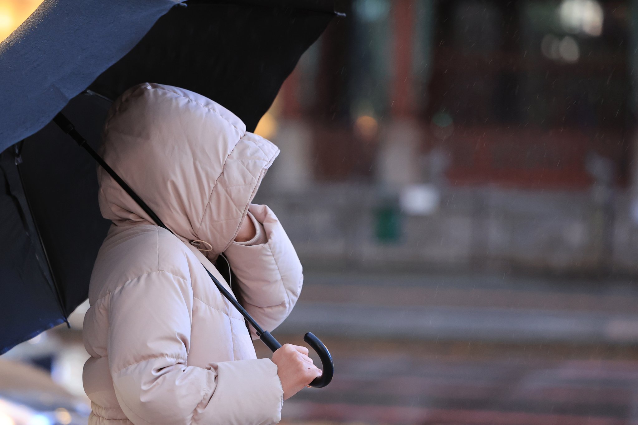 이번 겨울, 서울의 첫눈이 내리다