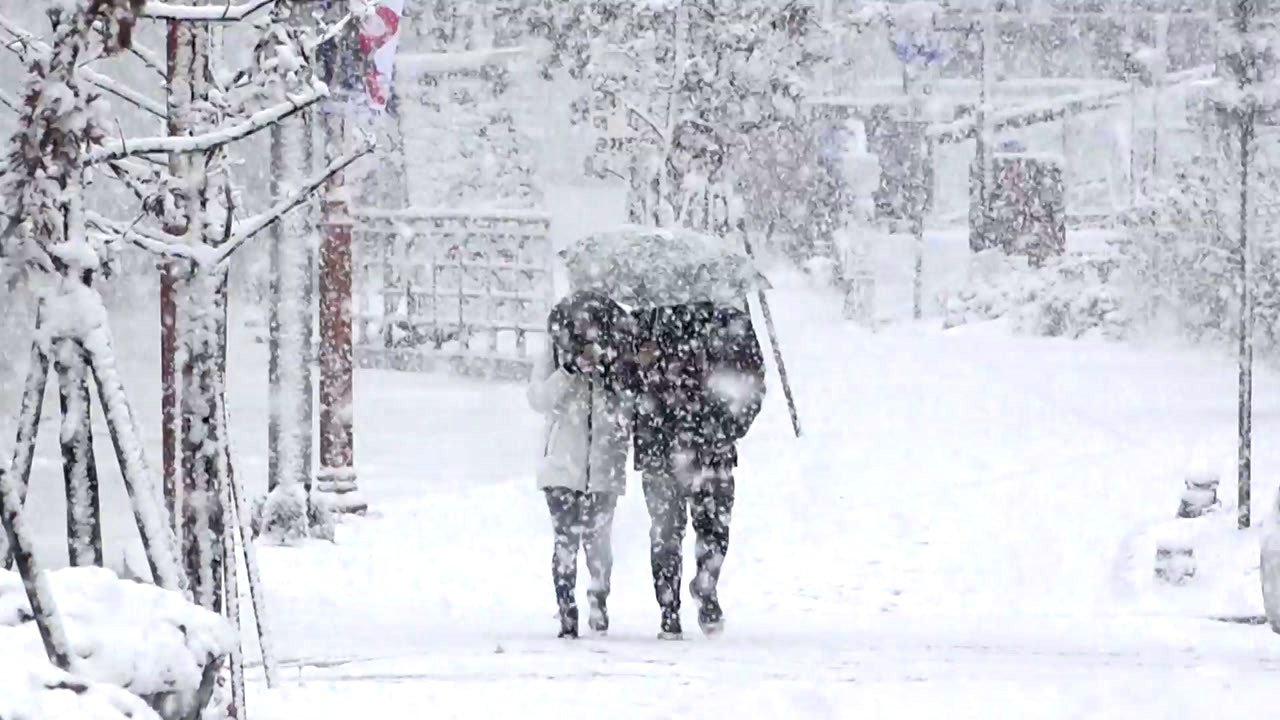 겨울의 아름다움과 함께한 첫눈