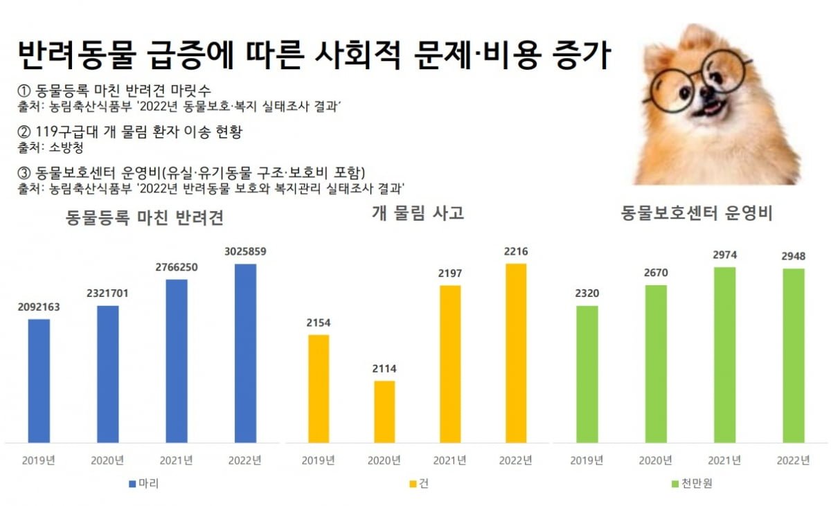 사랑하는 반려동물을 위한 치료비 고려