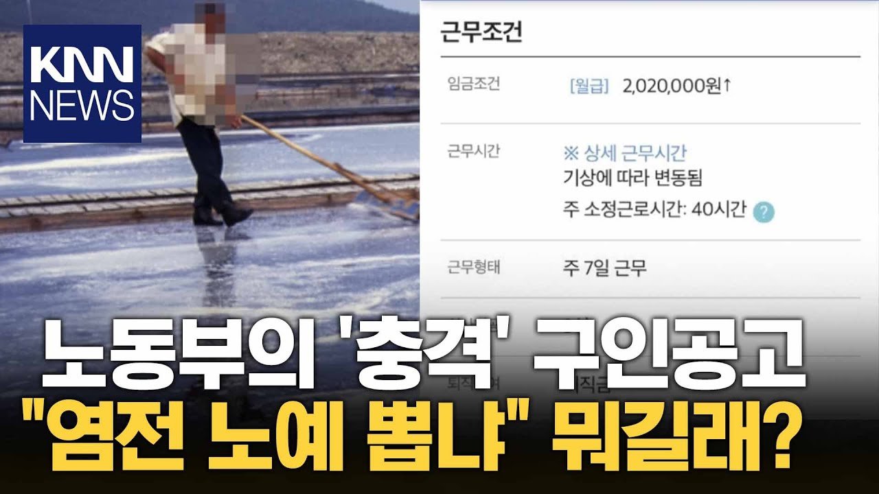 명확하지 않은 기대와 의무