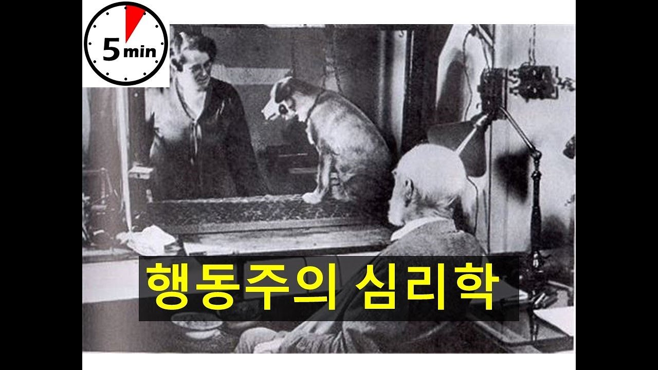 재난 발생 후의 심리적 치유 과정