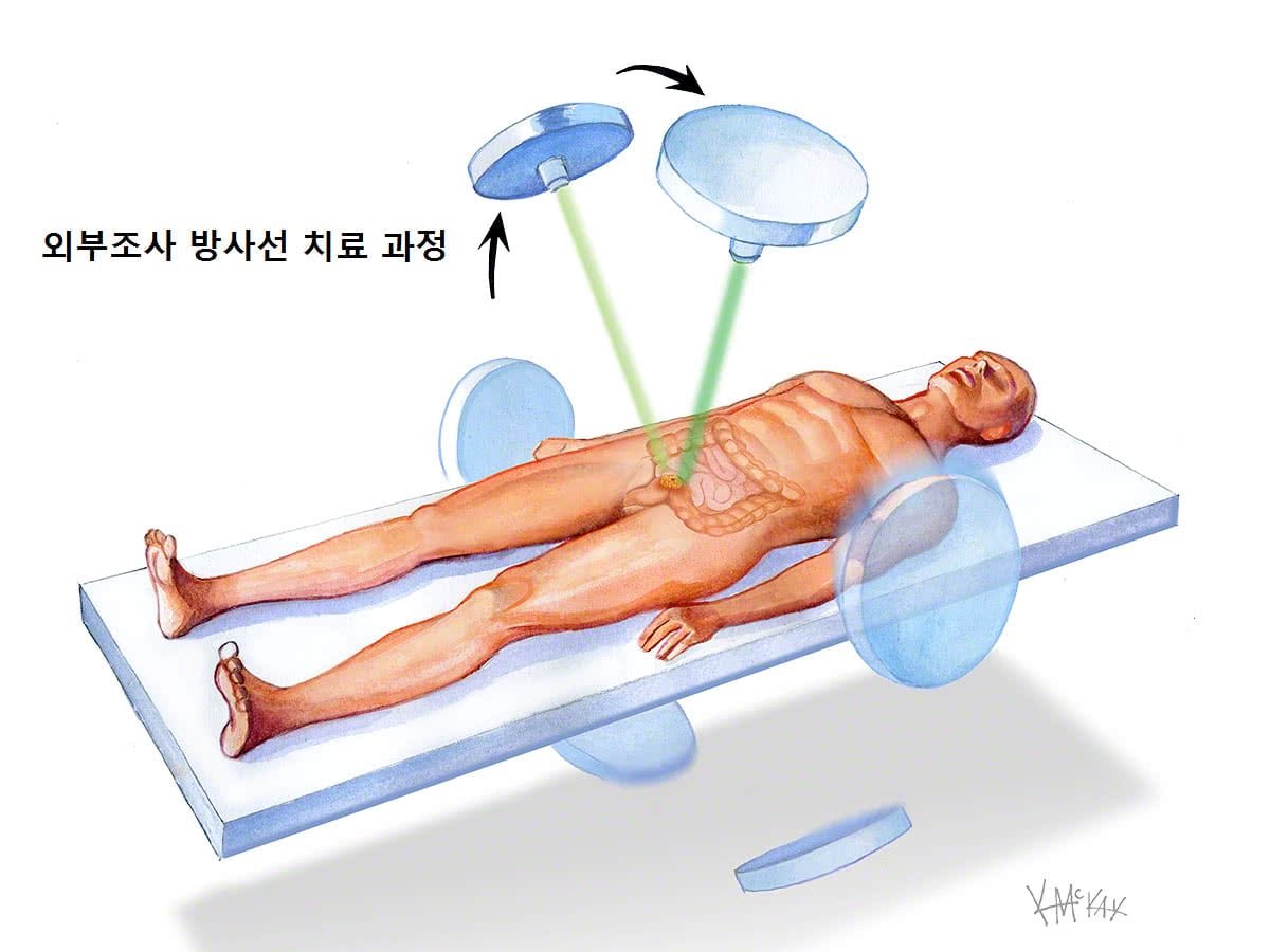 인프라 구축과 기술 개발 지원