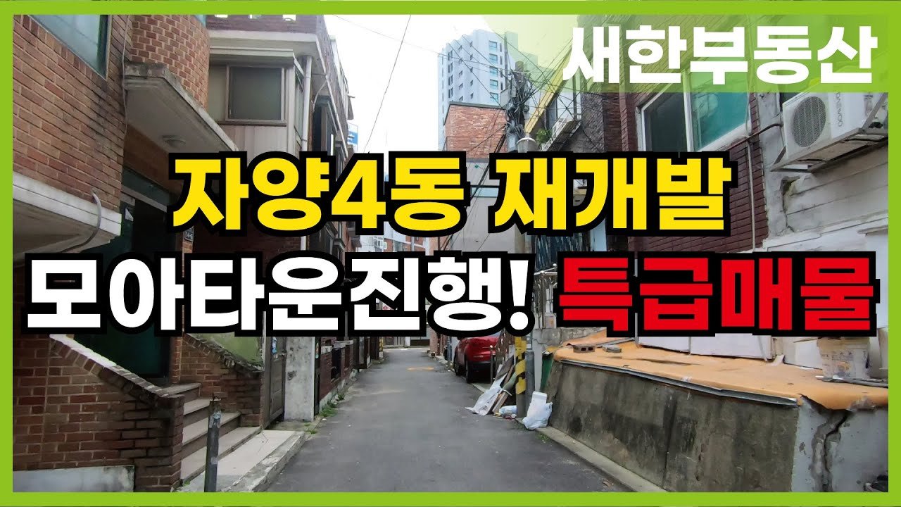 부동산 투자 전문가의 분석